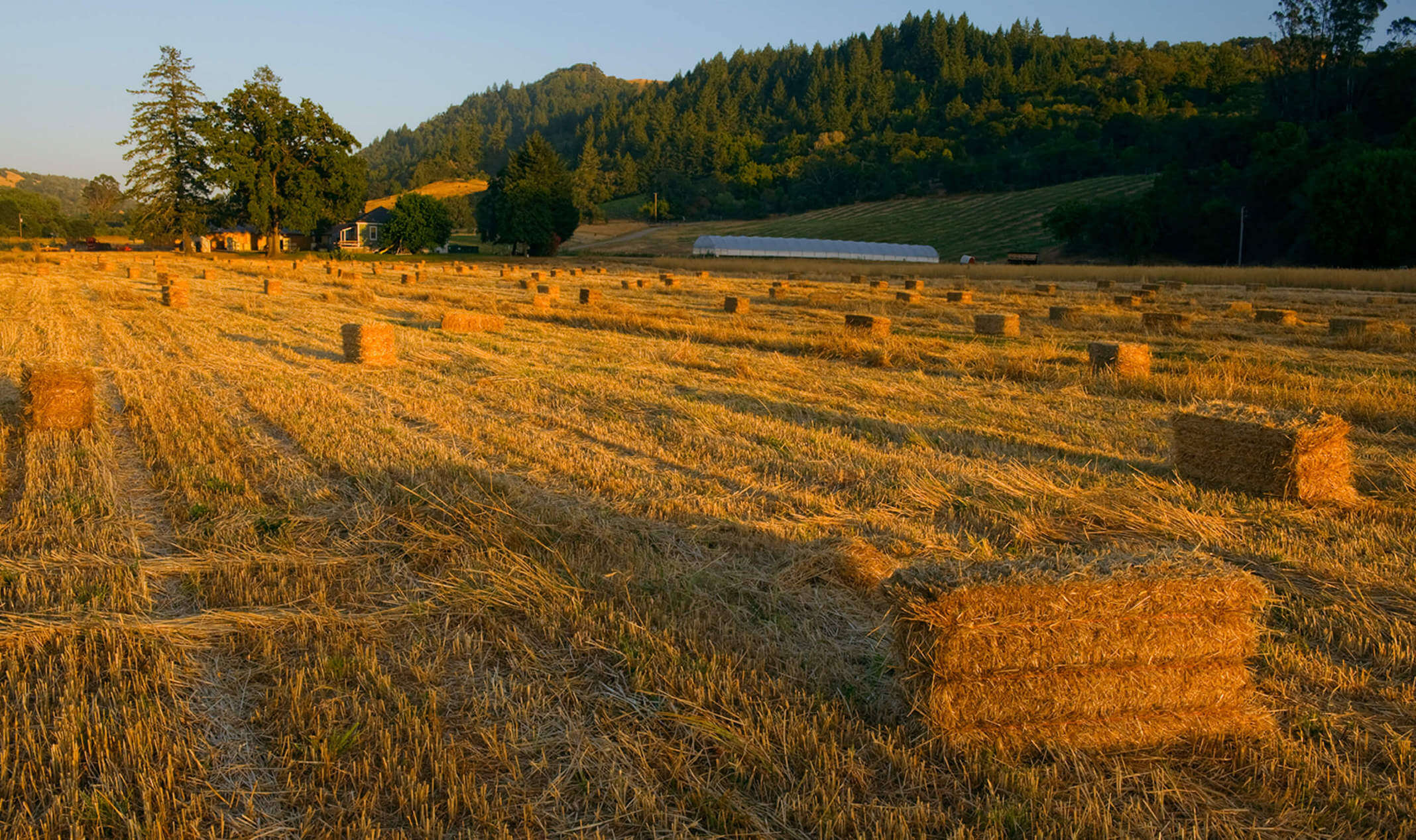 Front Porch Farm