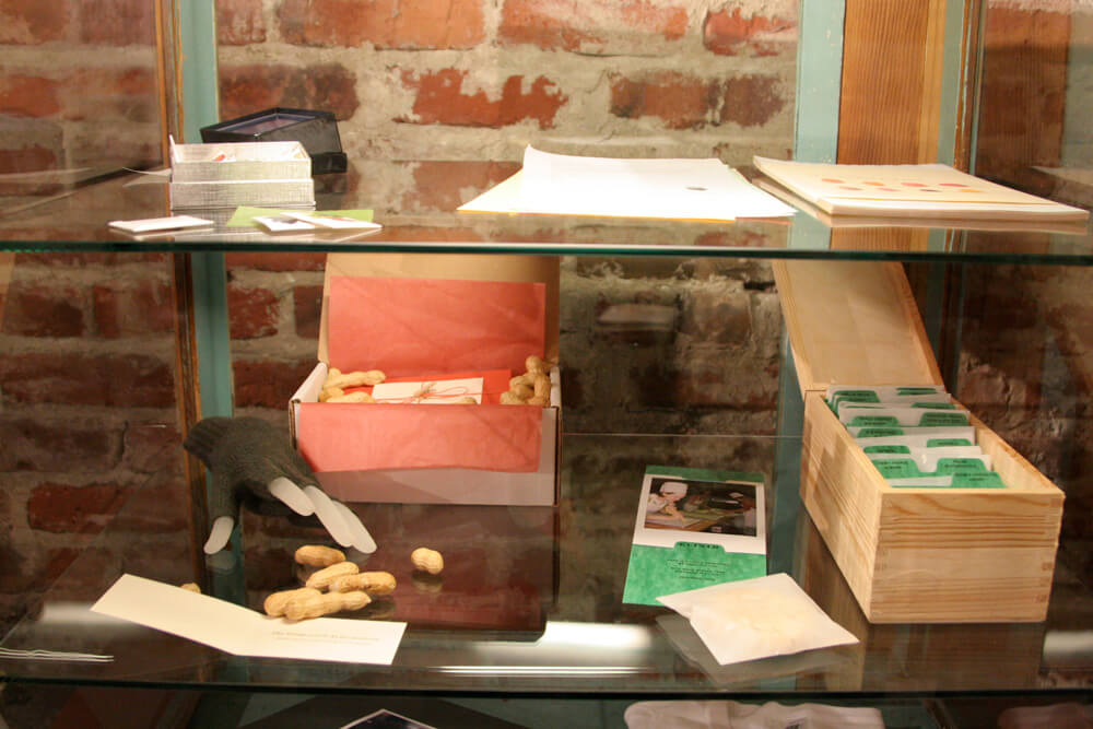 Close up of peanut and cookie projects in glass display case