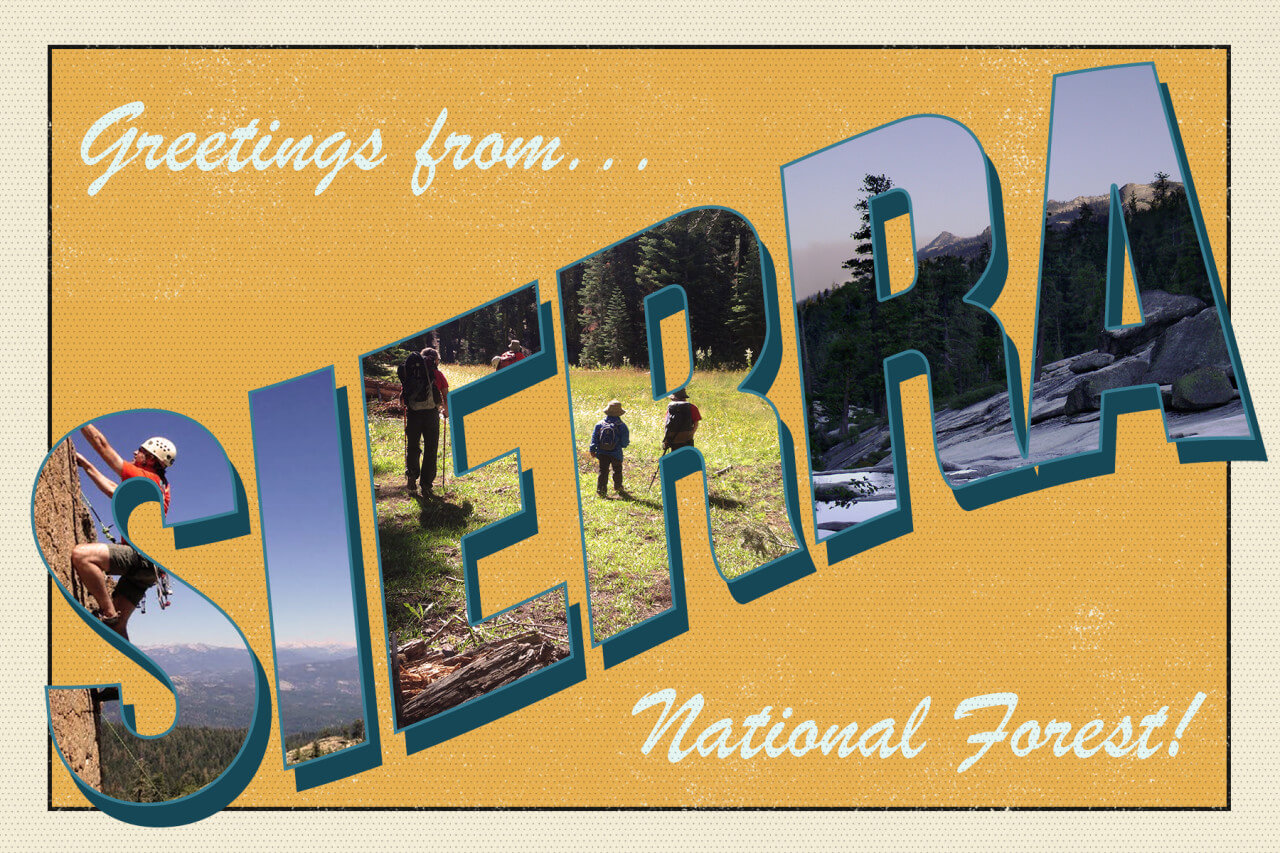 Greetings from Sierra National Forest yellow postcard