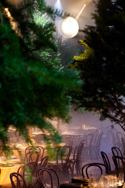 Bright light shining through trees onto dinner tables