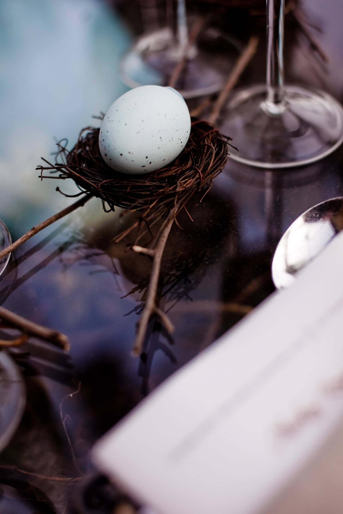 Speckled egg in tiny nest at table place setting